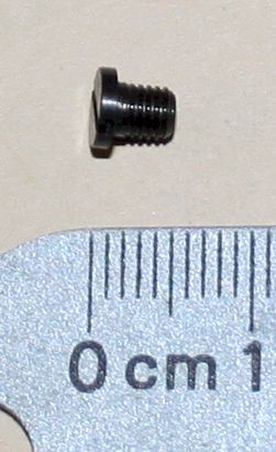 Dust cover spring screw - Rail screw - Winchester 1873 - 1876 - Click Image to Close