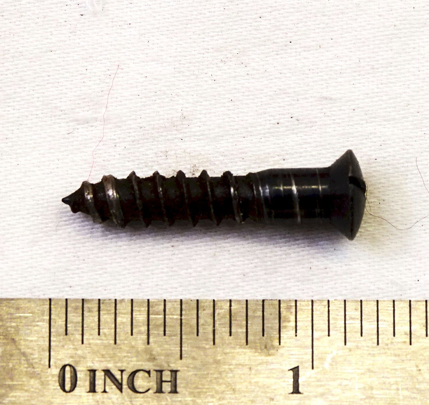 Buttplate screw (Single ORIGINAL screw) Winchester 1890,1866, 1873, 1892, 1894, 70 , 37, 12; Marlin, Remington ORIGINAL