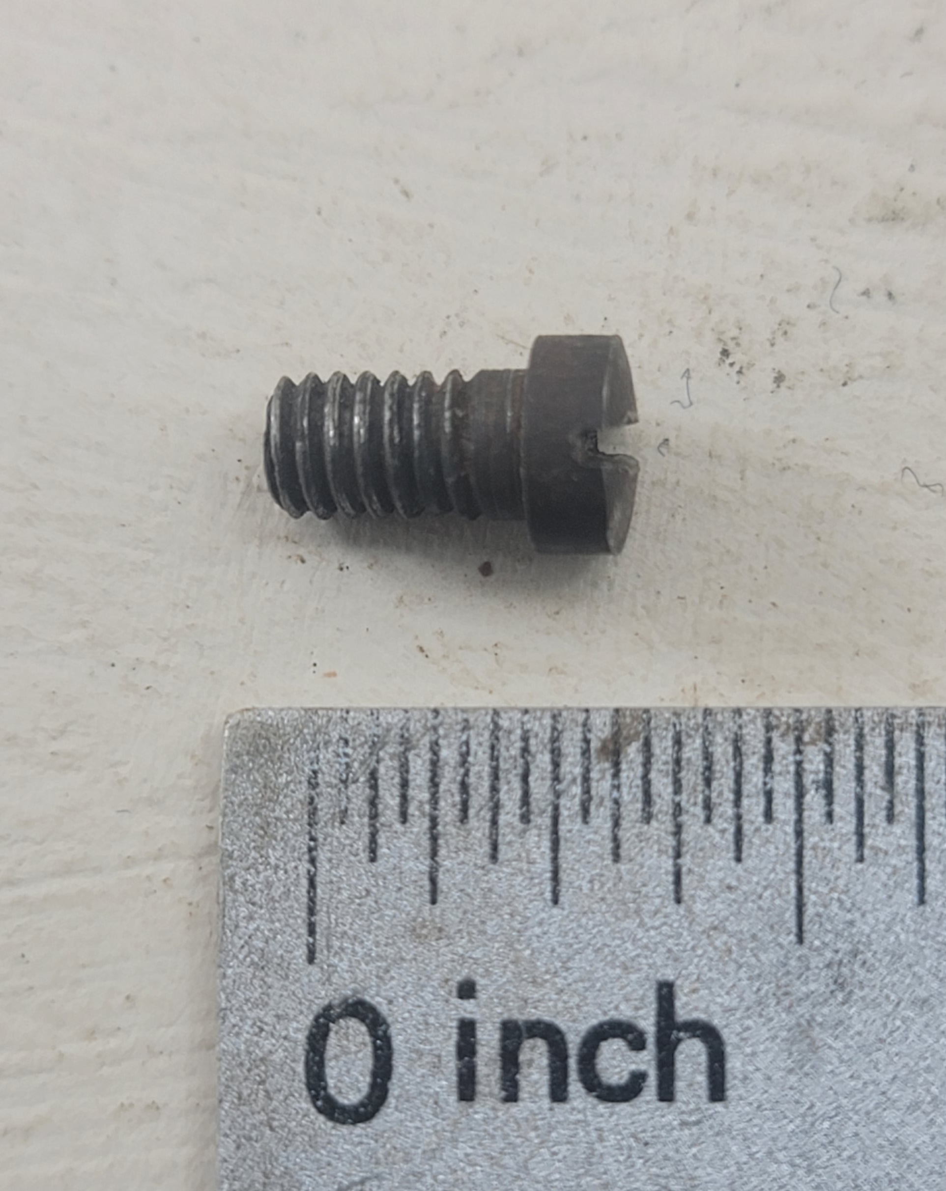 Carrier spring screw (also called the Carrier stop screw) Winchester 1886